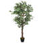 Faux Ficus Tree in Pot-761116811