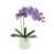 Mauve est en rupture de stock