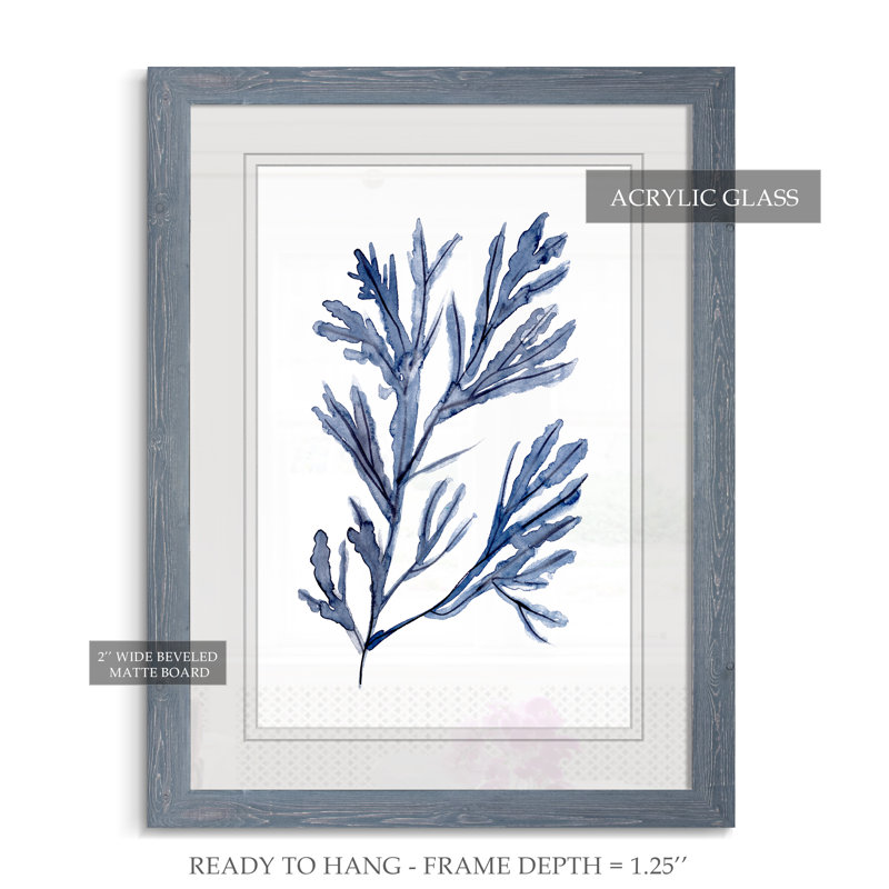 « algues under water i », reproduction d’image sur verre, H 32 po x l 44 po x 1,25 po, Encadré imprimé gris