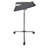 Eric 34 in. H x 30 in. W Laptop Cart