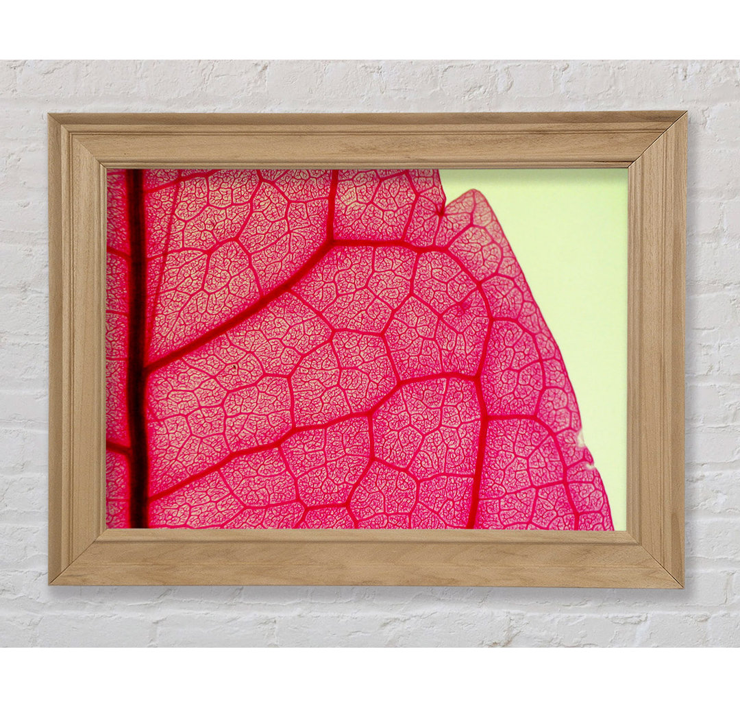 Pink Leave Beauty - Bilderrahmen Kunstdrucke