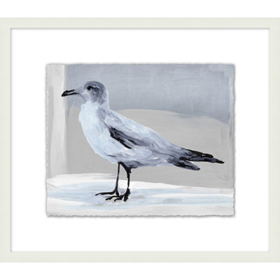 Gull Study 2 Print