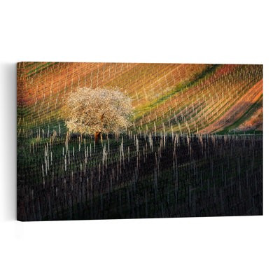 «Spring Vineyard Blossom Peaceful Serene Tranquil Fruit Landscape», reproduction d'art murale