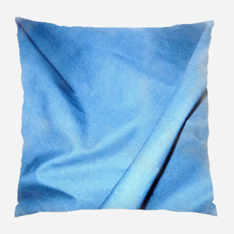 Coussin abstrait, Intérieur