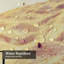 Rideau de douche avec 12 crochets Beautiful Beach Sand Sea Sunset-1764749644