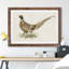 Ring-Necked Pheasant by Von Wright - Single Picture Frame Painting-48234786-48234791