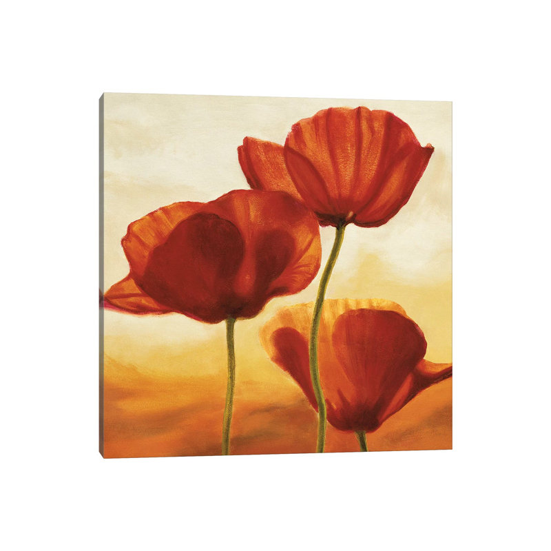 Poppies In Sunlight I by Andrea Kahn - Wrapped Canvas Print, 66.04 cm H x 66.04 cm W x 3.175 cm D