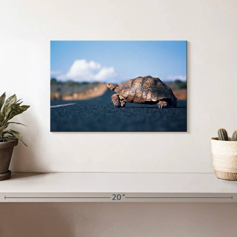 Brampt Crossing Turtle, 8" H x 12" W