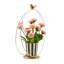 Song Bird Daisy Arrangement