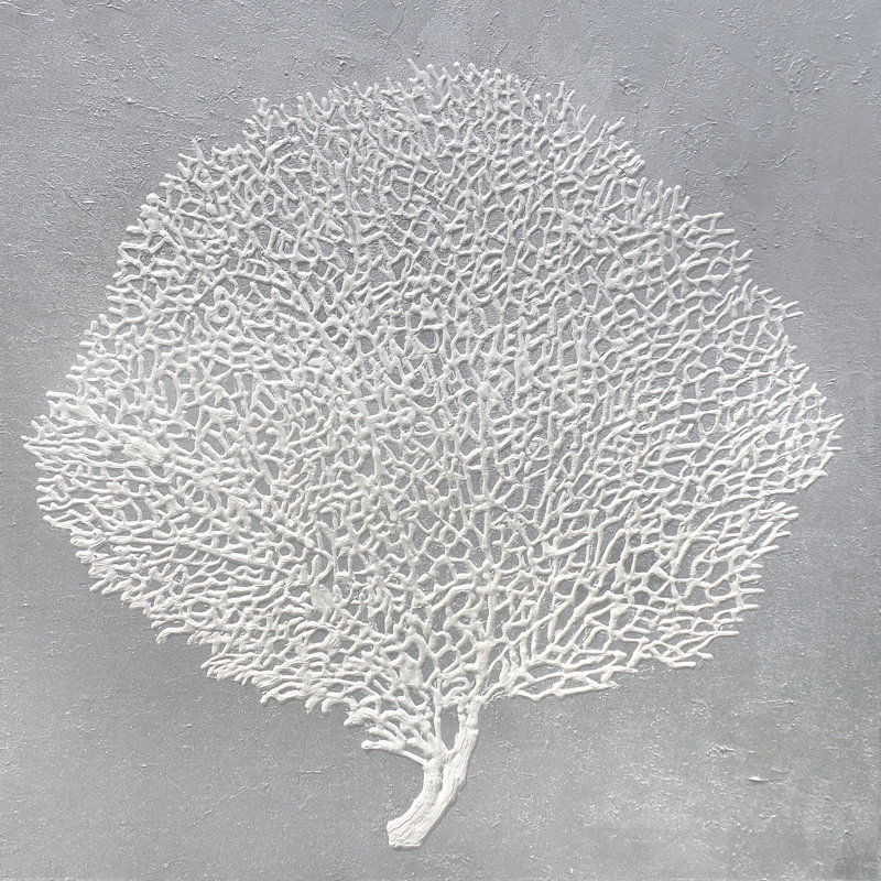 Seafan X Print by L. Bodine, 24" H x 24" W x 1.5" D, Glass Coat