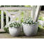 Atziry Pot Planter-1261627553-1261627549