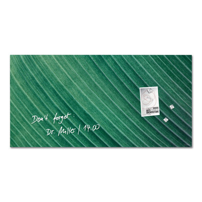 Artverum Wall Mounted Glass Board
