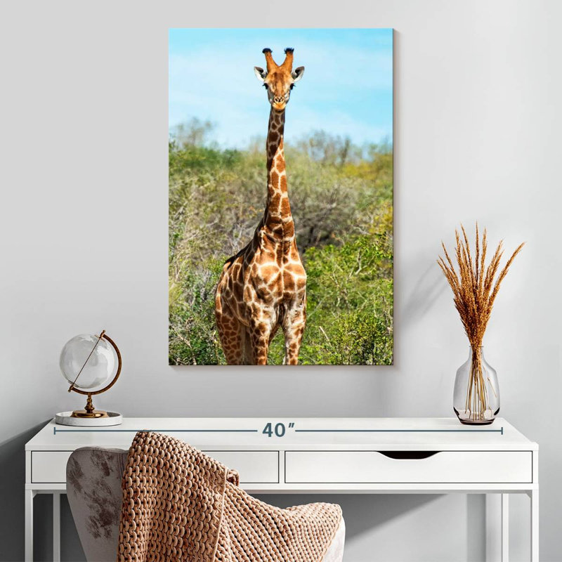 Brampt Awesome Afrique du Sud - Portrait de girafe I, H 30 po x l 20 po