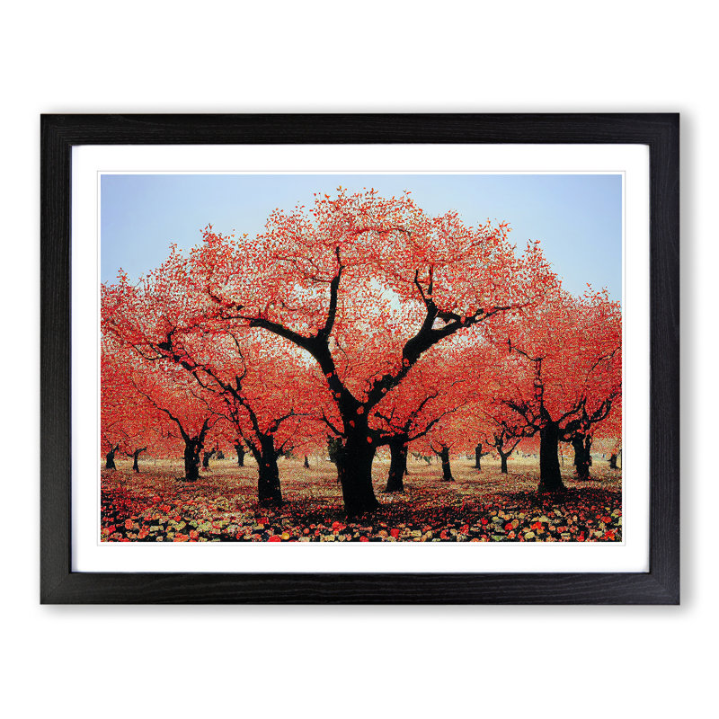 XH1022-7139X Pretty Apple Trees - Single Picture Frame Print, 46cm H x 64cm W, Black