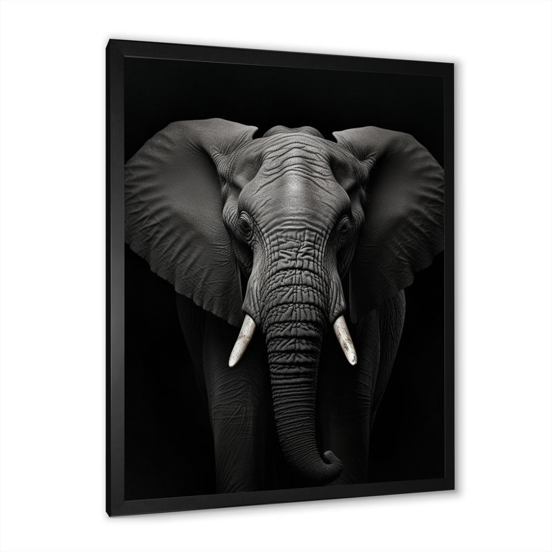 Éléphant noir et blanc - Photo II, Cadre photo noir, H 20 po x l 12 po x P 1 po