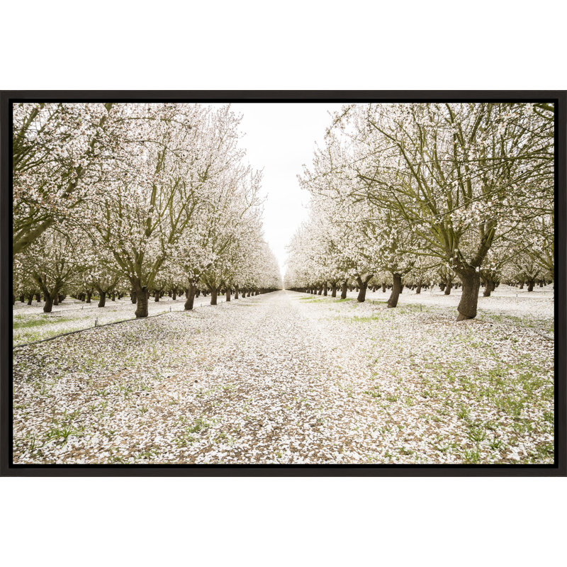 Adam Mowery " Entrance To Eden " by Adam Mowery, Image Brush Gel, 31.75" H x 46.75" W