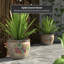 Cache-pot Shewmaker-1825344164-1825344163