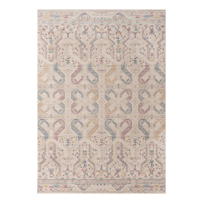 Volfango Oriental Indoor Rug