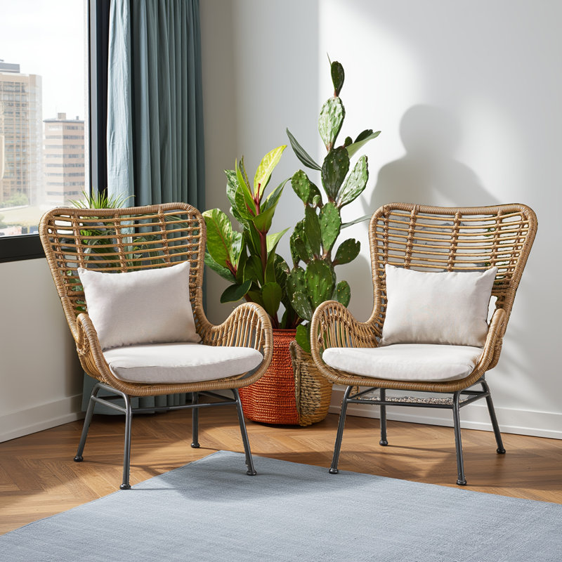 Ensemble de 2 chaises de patio en osier beige et brun - coussins résistants à l'eau, structure en acier et chaises d'extérieur en rotin Pe