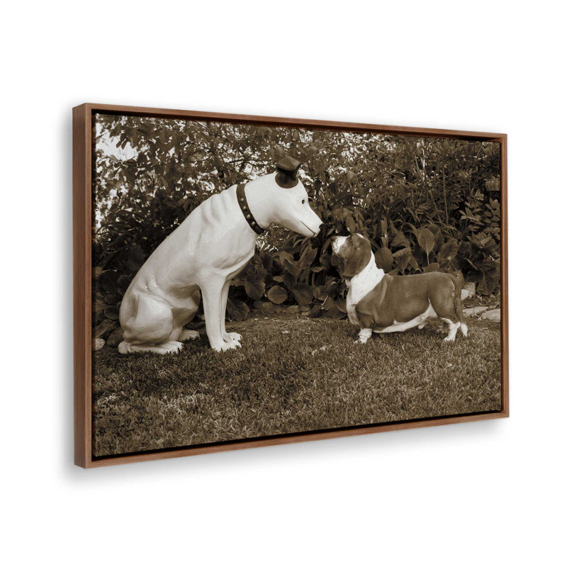 «Want to Play» par Jim Dratfield, reproduction d'art sur toile, Brun, Cadre flottant, H 24 po x l 36 po