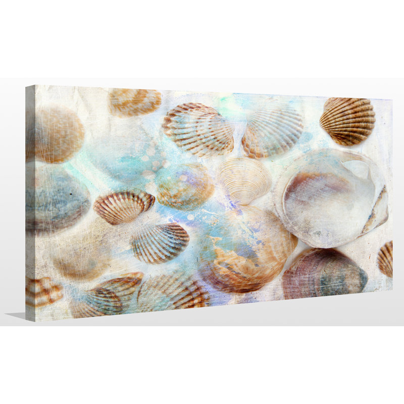 " Shells I ", 28" H x 48" W x 1.5" D