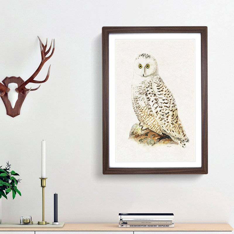 Snowy Owl by Von Wright - Picture Frame Painting Print, 65cm H x 48cm W x 2cm D, Walnut Framed