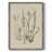 Linen Grasses II Framed Print - Solid Wood 48356-563461199