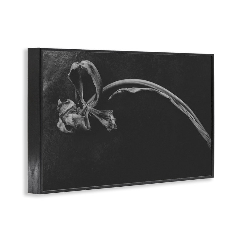 Giclée encadrée de fleurs souples, conception par Amy Carroll, H 12 po x l 18 po, Giclée encadrée noir minuit