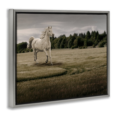 Cadre flottant au galop à cheval, design par Marcus Prime