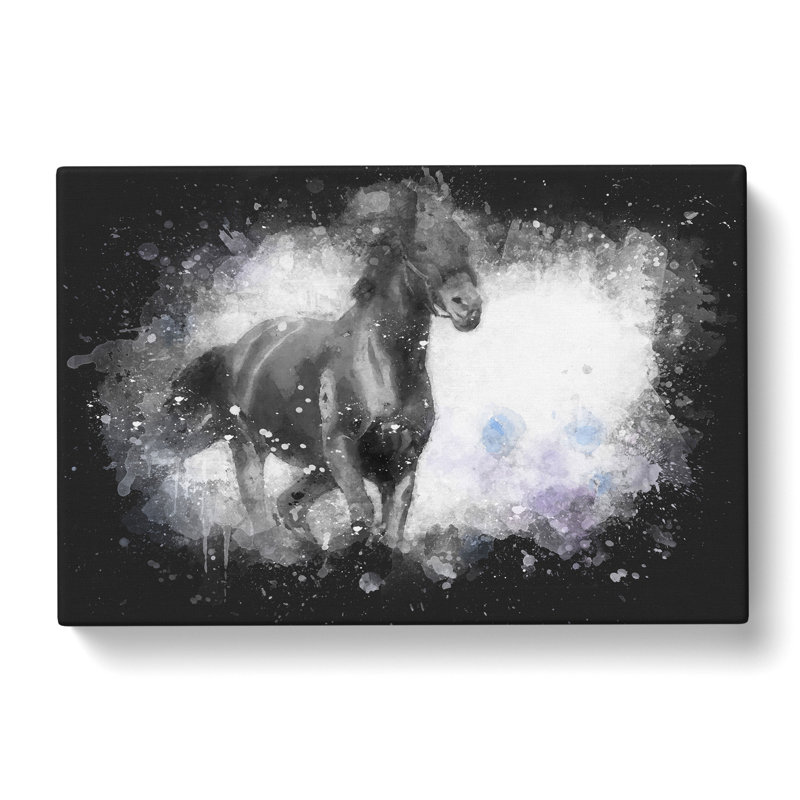 Wild Black Horse - Wrapped Canvas, 35cm H x 50cm W x 3cm D