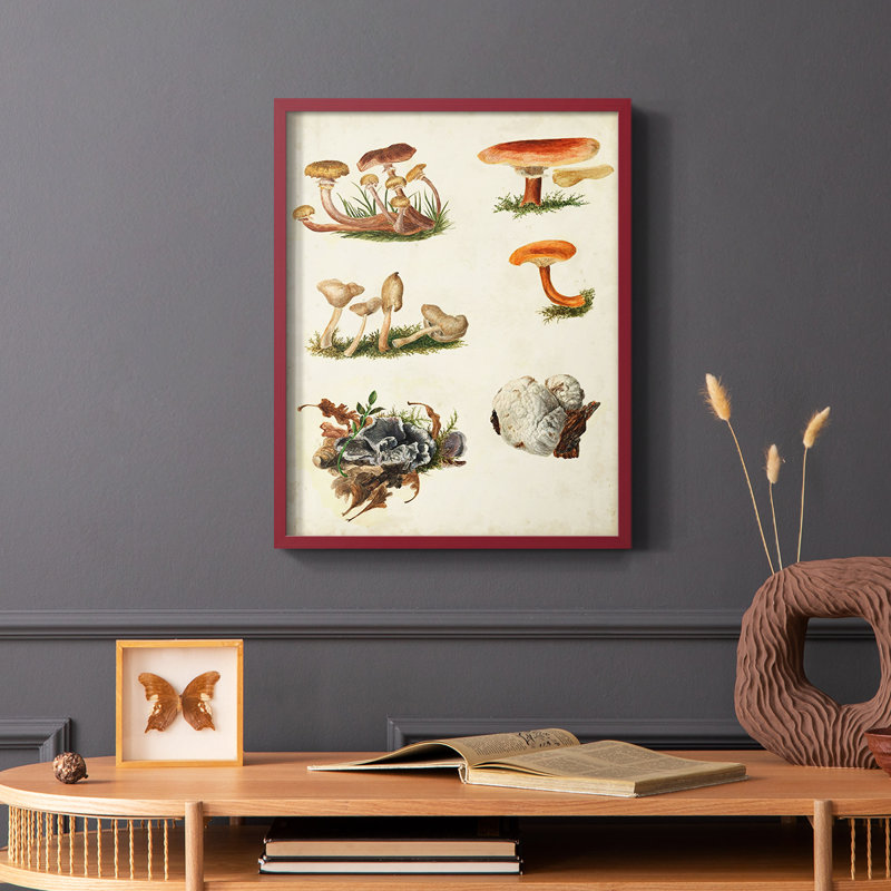 Reproduction encadrée «Mushroom Species X» - bois massif, Rouge, H 10 po x l 8 po
