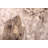Legacy Grey Rug 6'7" x 9'10"