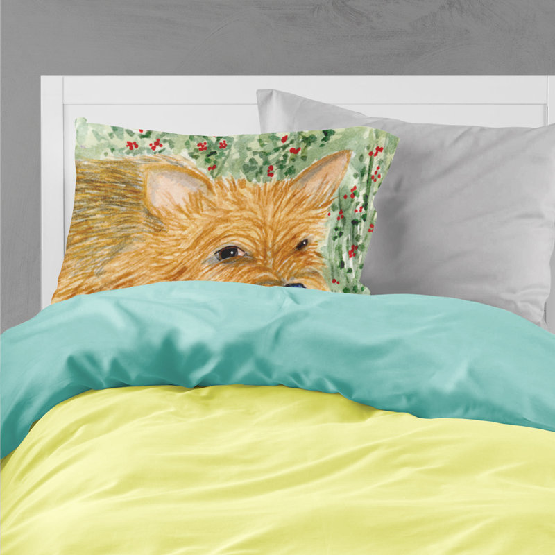 Taie d’oreiller à mèches d’humidité terrier norwich