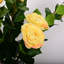 Arrangement floral de pivoines Tuomo-1007344007
