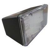 Flood Light