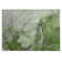 Boxleye Washable Abstract Indoor / Outdoor Rug