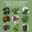 Ensemble de croissance Chrysal Leafshine