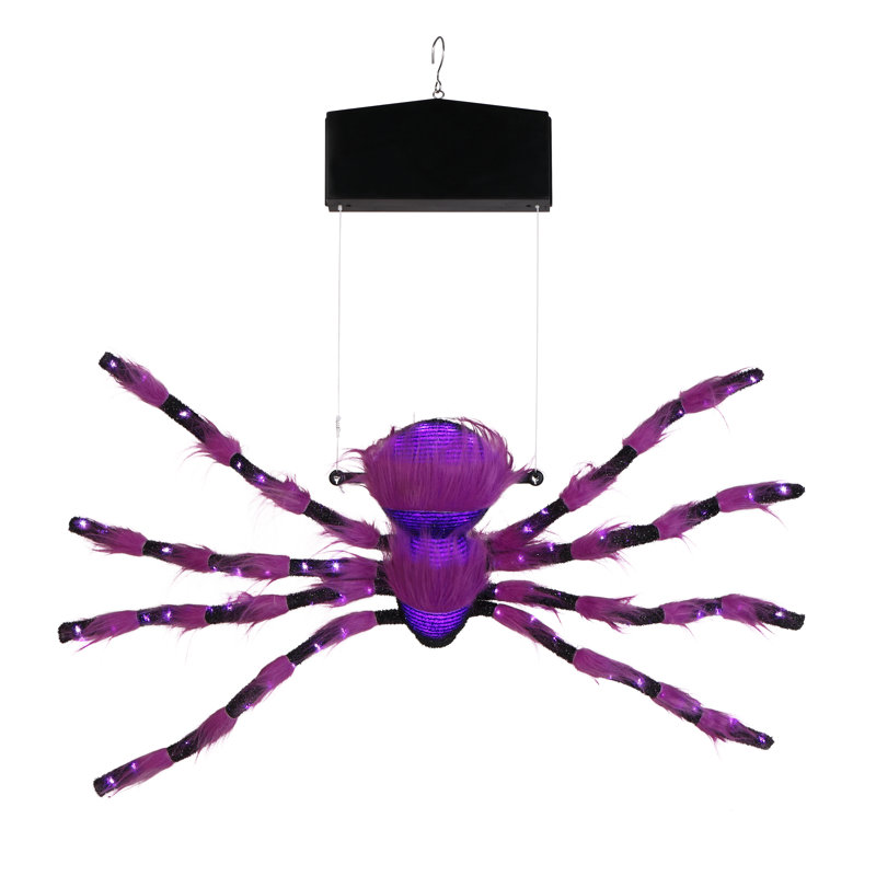 Araignée grimpante 9 pi