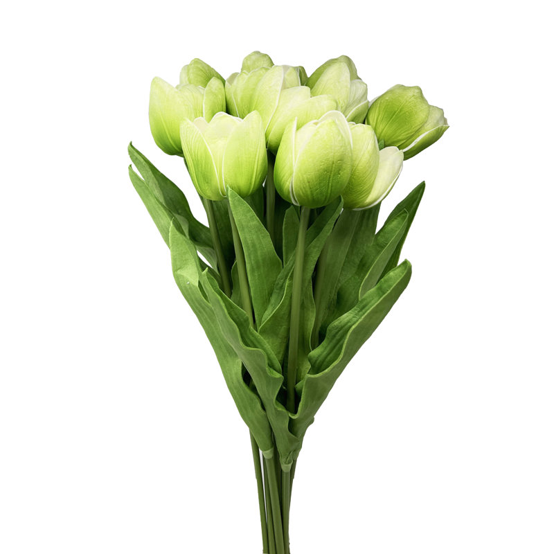 Polyether Polyurethane (PU) Tulip Arrangement, Green