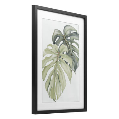 «Philodendron Monstera Leaves», reproduction encadrée sous verre, design par Errico & Slyp