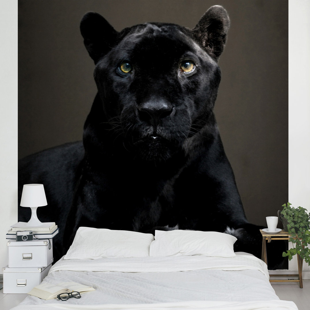 Black Puma 1.92m x 192cm Wallpaper