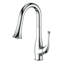 Shakespeare Pull Down Single Handle Kitchen Faucet with Side Spray and Accessories-1495802115