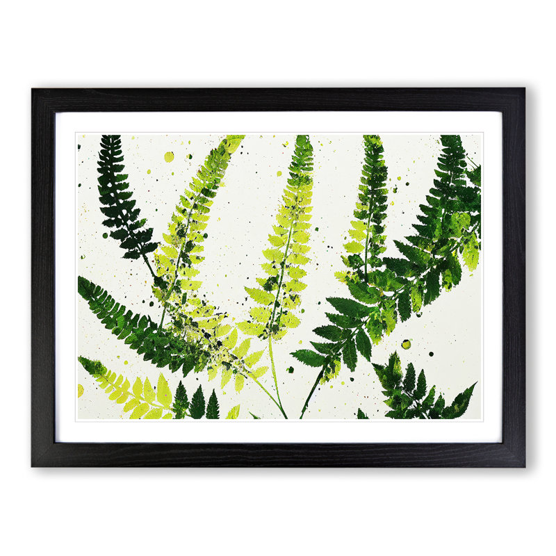Fern Leaf Splash Vol.4 - Single Picture Frame Painting, Black Framed, 46cm H x 64cm W x 2cm D