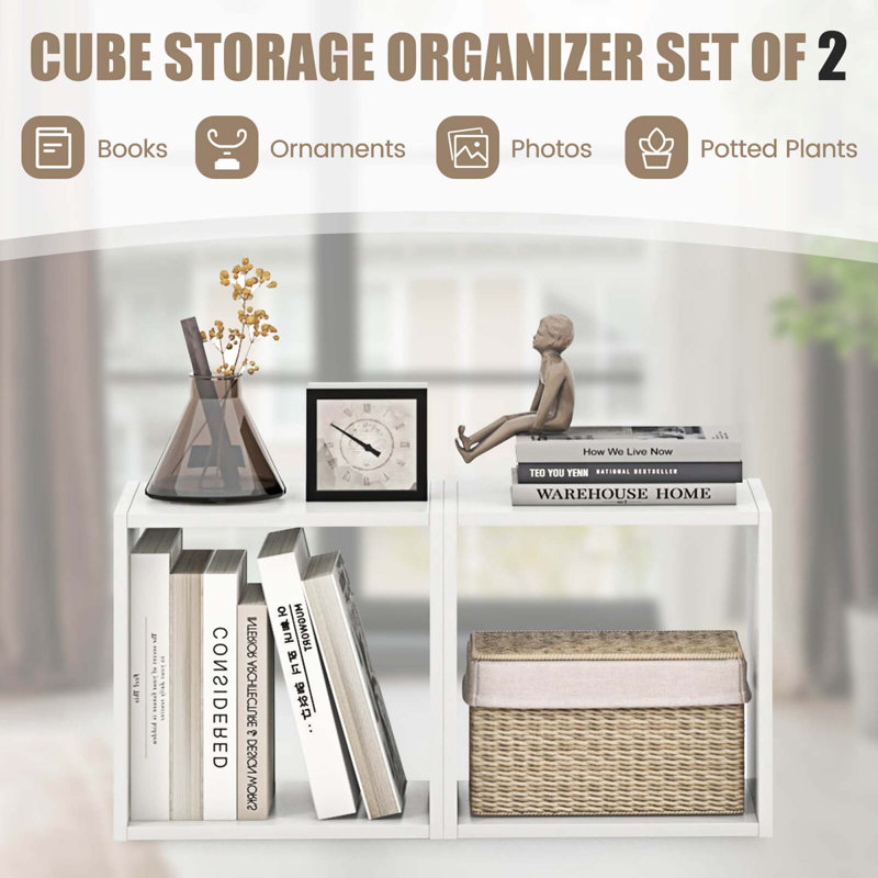 Laoma Bookcase