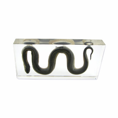 Procopio Animals Figurines & Sculptures