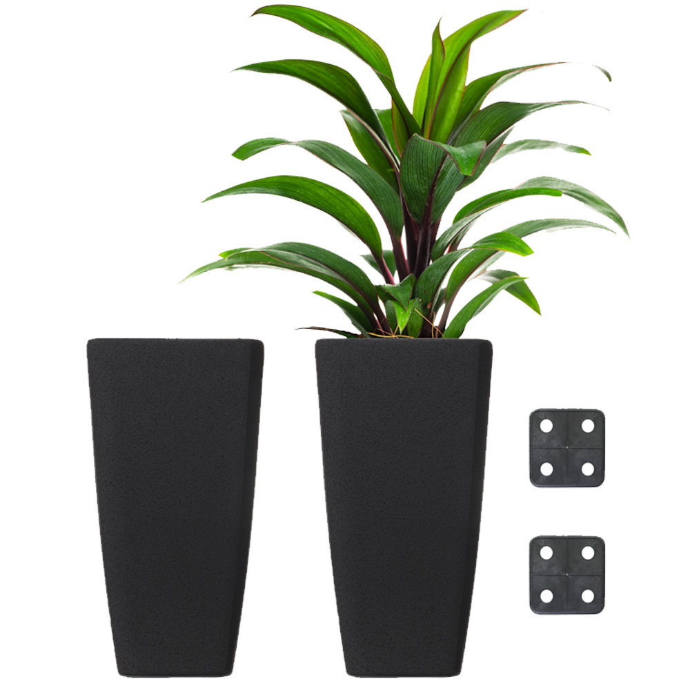 Hymie 2-Piece Self-Watering Pot Planter Set (Set of 2) Ebern Designs 