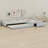 Upholstered Double Daybed With Trundle And Drawer-2103473147