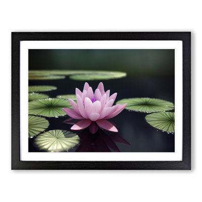 Expressive Water Lily Flower - Single Picture Frame Print
