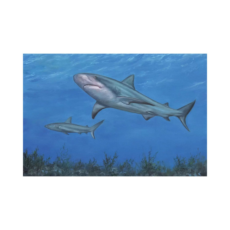 Reef Shark par David Stribble, reproduction d'art sur toile tendue, H 26 po x l 40 po x 1,5 po