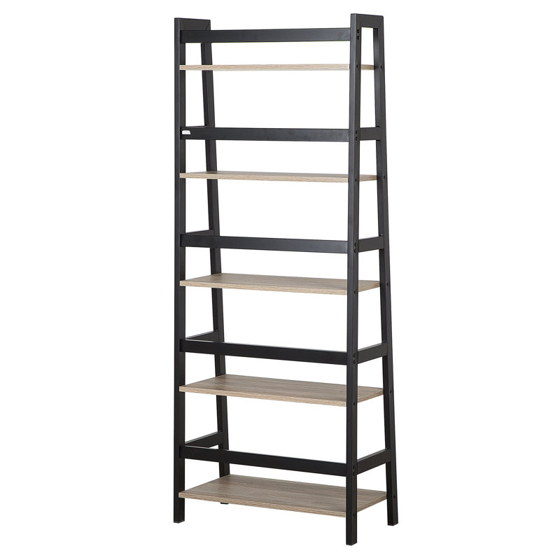 Faction 163cm H x 64cm W Steel Ladder Bookcase